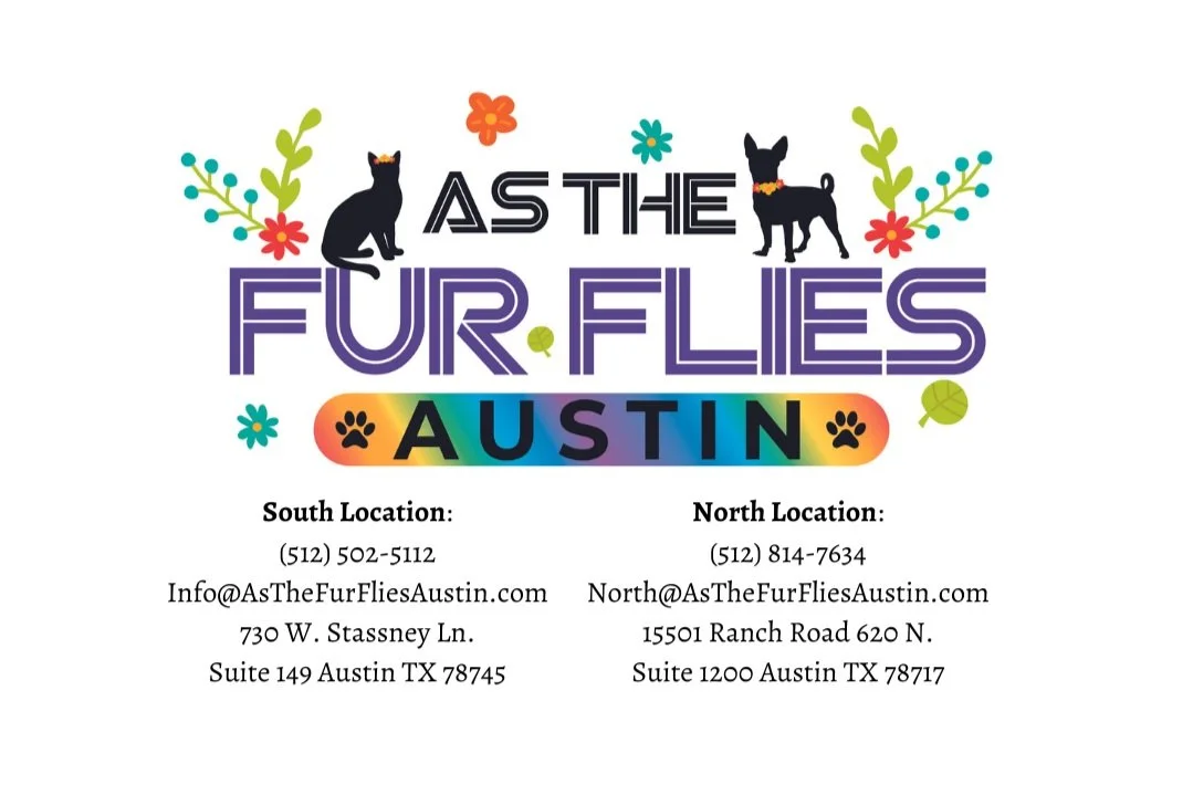 Dog Grooming Cat Grooming in Austin TX As The Fur Flies